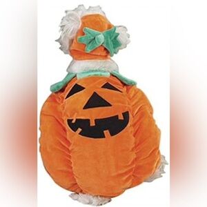 Zack & Zoey Pumpkin Costume - Orange and Black